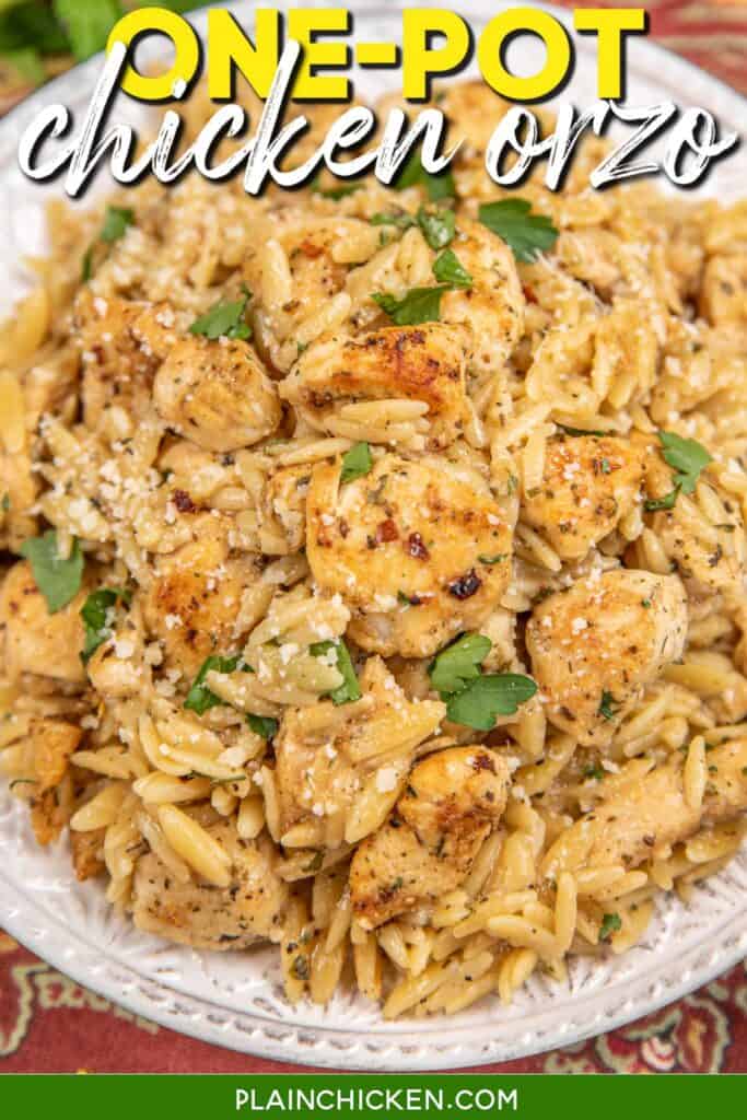 plate of chicken and orzo pasta with text overlay