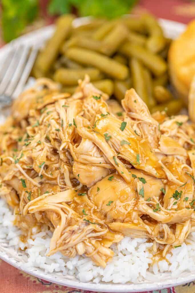 plate of shredded chicken and gravy over rice