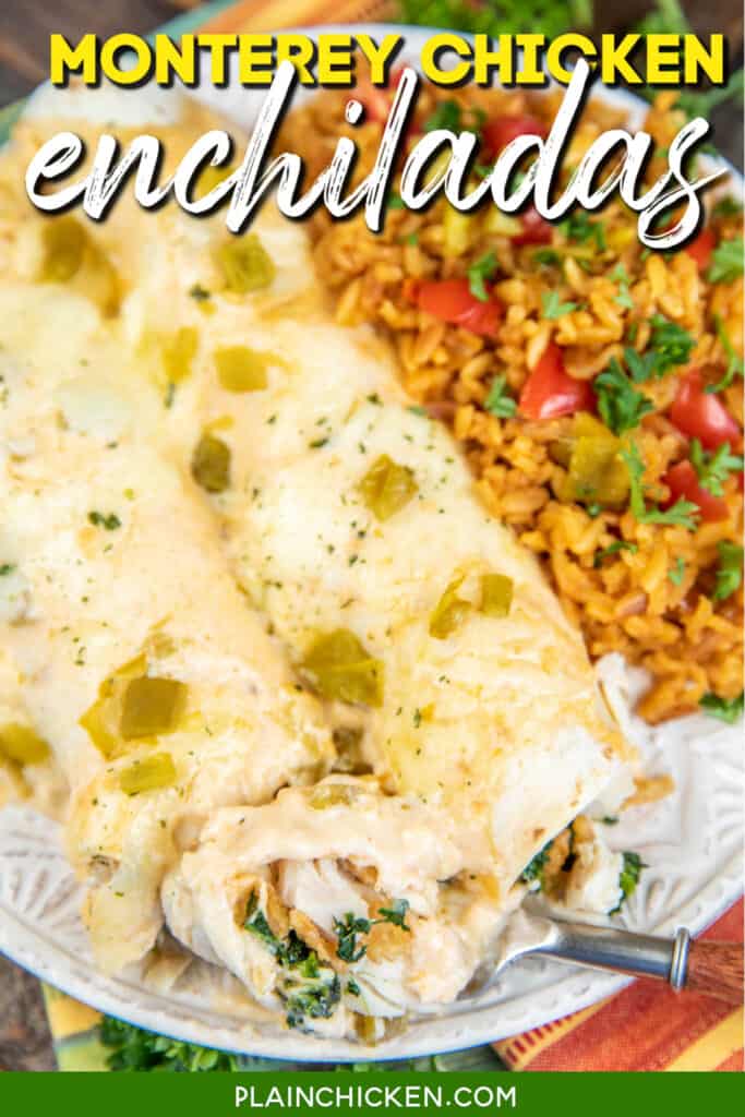 plate of enchiladas with text overlay