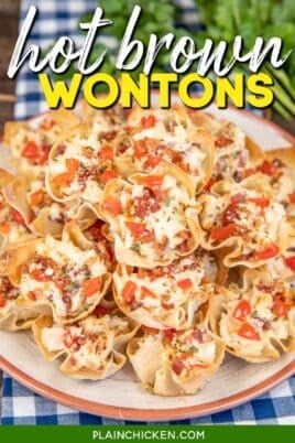plate of hot brown wonton bites with text overlay