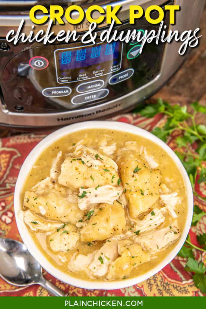bowl of chicken and dumplings in front of a crockpot with text overlay