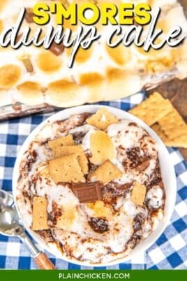 bowl of smores dump cake on a blue checked tablecloth with text overlay