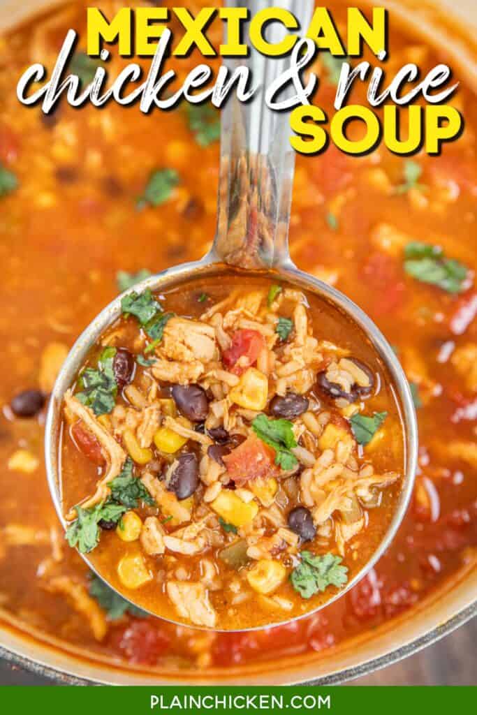 ladle of chicken and rice soup with text overlay