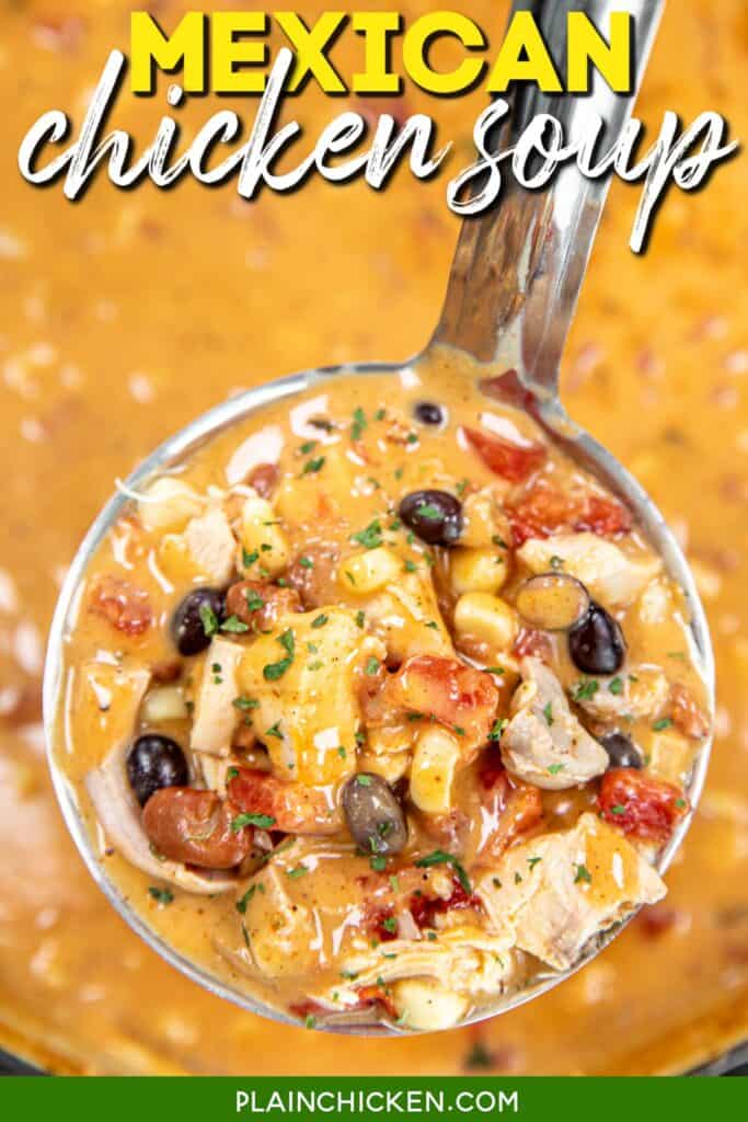 ladle of cheesy mexican chicken soup with text overlay