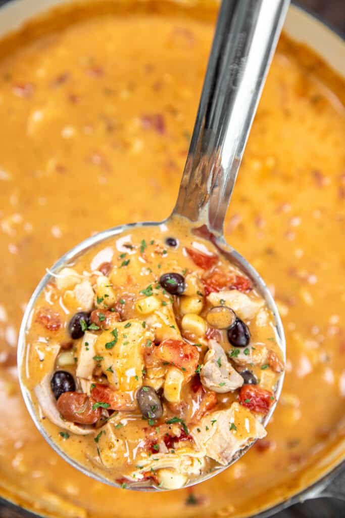 ladle of cheesy mexican chicken soup